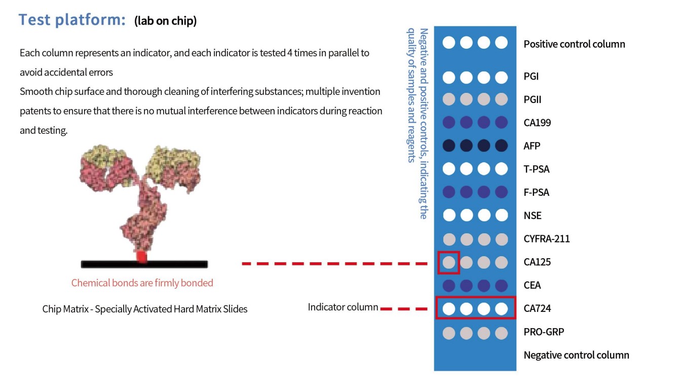 芯片上的实验室(英文) 芯片上的实验室(英文)